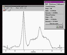 竹NMR